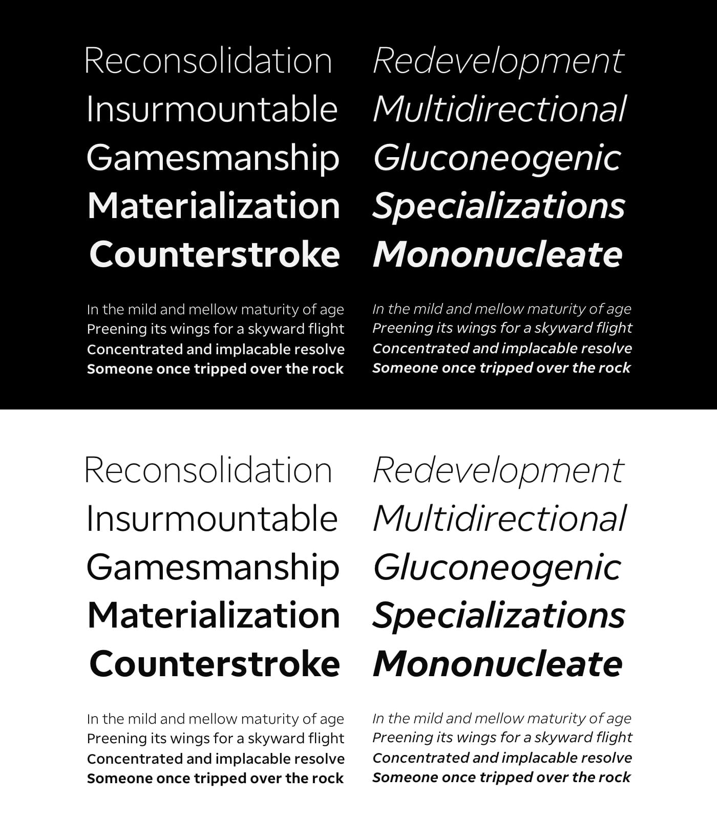 Various words using TD Ameritrade Sans typeface